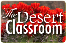 The Desert Classroom