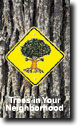 Image of Trees in your Neighborhood DVD cover