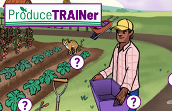 Image of Produce Trainer