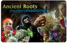 Icon for "Ancient Roots Modern Medicine Series"
