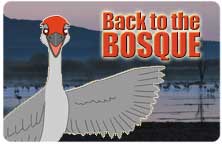 Icon for "Back to Bosque" produced by NMSU Media Productions