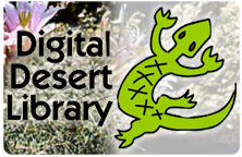 Image for the title slide of Digital Desert Library