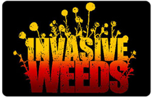 Title slide for Invasive Weeds