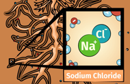 Image from the Understanding Western Soils animation.